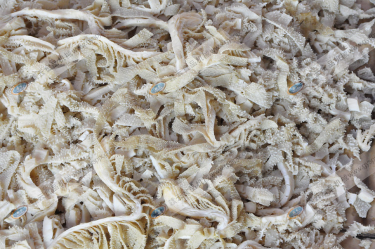 多功能切菜機切牛肚絲圖集