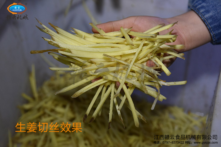 切東北大姜的姜絲