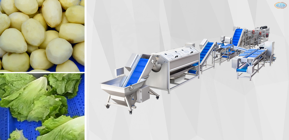 多功能雙用凈菜流水線技術解決方案設備展示 多功能雙用凈菜流水線技術解決方案設備展示